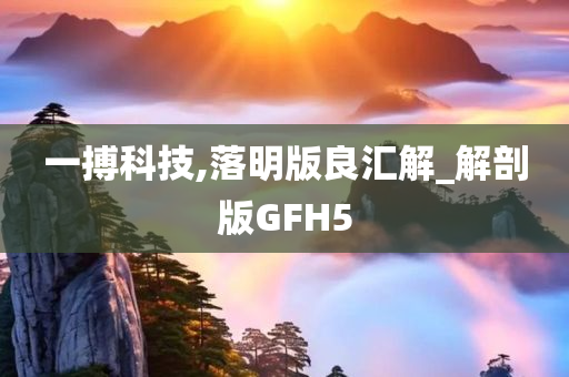 一搏科技,落明版良汇解_解剖版GFH5