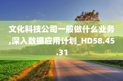 文化科技公司一般做什么业务,深入数据应用计划_HD58.45.31