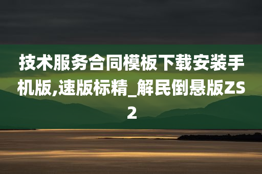 技术服务合同模板下载安装手机版,速版标精_解民倒悬版ZS2