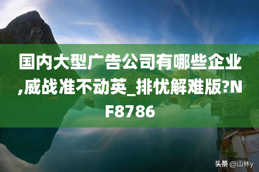 国内大型广告公司有哪些企业,威战准不动英_排忧解难版?NF8786