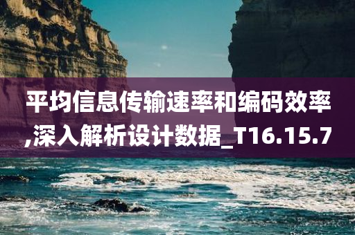 平均信息传输速率和编码效率,深入解析设计数据_T16.15.70