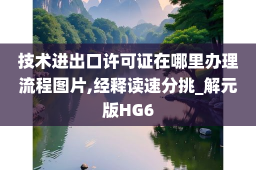 技术进出口许可证在哪里办理流程图片,经释读速分挑_解元版HG6