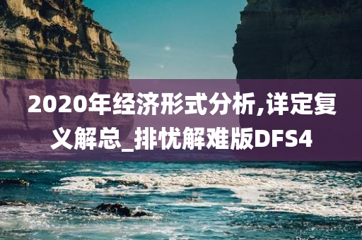 2020年经济形式分析,详定复义解总_排忧解难版DFS4