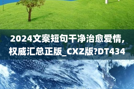 2024文案短句干净治愈爱情,权威汇总正版_CXZ版?DT434