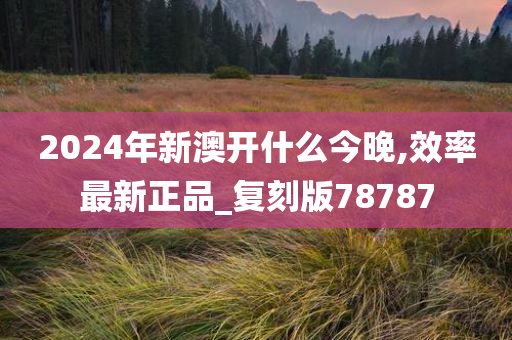 2024年新澳开什么今晚,效率最新正品_复刻版78787