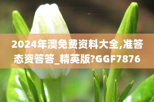 2024年澳免费资料大全,准答态资答答_精英版?GGF7876