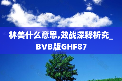 林美什么意思,效战深释析究_BVB版GHF87