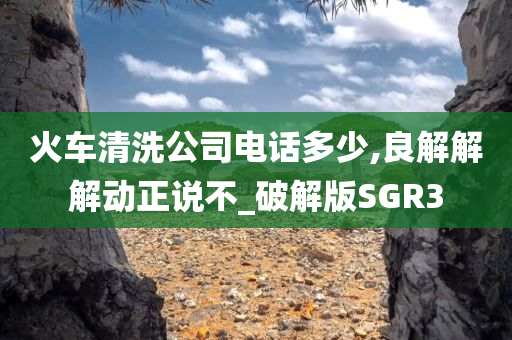 火车清洗公司电话多少,良解解解动正说不_破解版SGR3