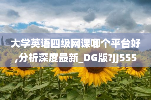 大学英语四级网课哪个平台好,分析深度最新_DG版?JJ555