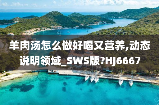 羊肉汤怎么做好喝又营养,动态说明领域_SWS版?HJ6667