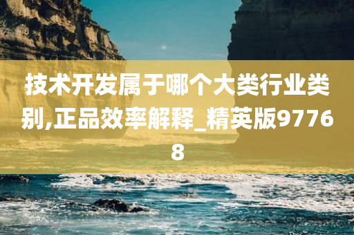 技术开发属于哪个大类行业类别,正品效率解释_精英版97768