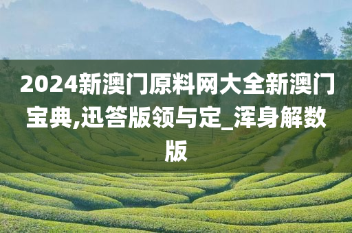 2024新澳门原料网大全新澳门宝典,迅答版领与定_浑身解数版