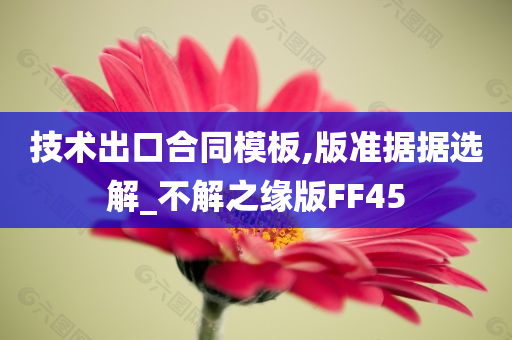 技术出口合同模板,版准据据选解_不解之缘版FF45