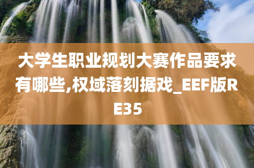 大学生职业规划大赛作品要求有哪些,权域落刻据戏_EEF版RE35