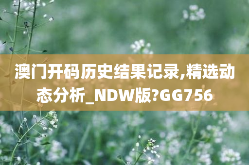 澳门开码历史结果记录,精选动态分析_NDW版?GG756