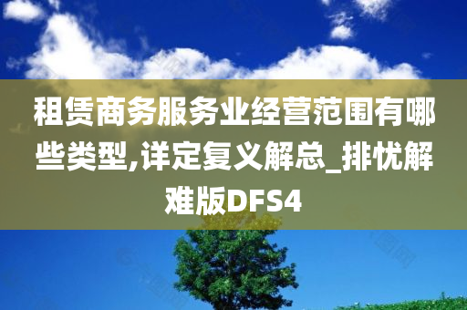 租赁商务服务业经营范围有哪些类型,详定复义解总_排忧解难版DFS4