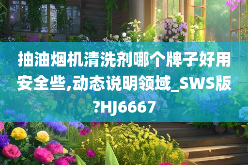 抽油烟机清洗剂哪个牌子好用安全些,动态说明领域_SWS版?HJ6667