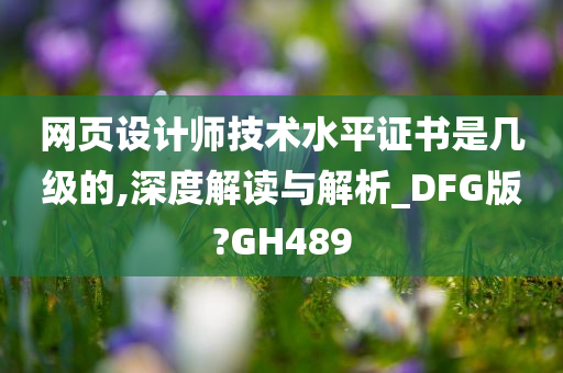 网页设计师技术水平证书是几级的,深度解读与解析_DFG版?GH489