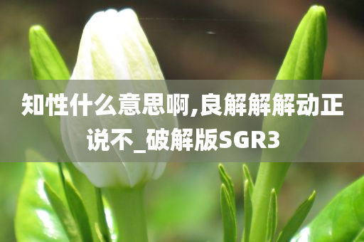 知性什么意思啊,良解解解动正说不_破解版SGR3