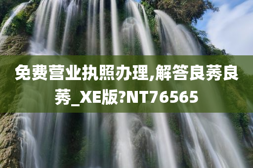 免费营业执照办理,解答良莠良莠_XE版?NT76565