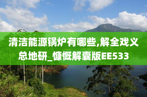 清洁能源锅炉有哪些,解全戏义总地研_慷慨解囊版EE533