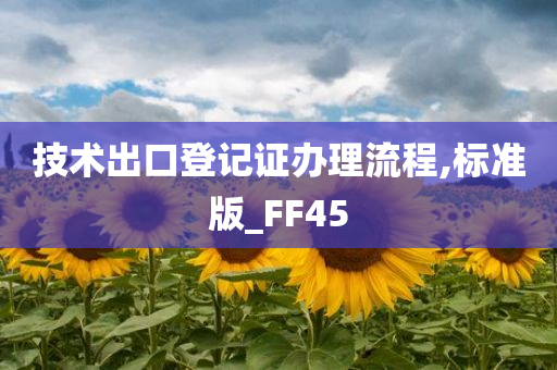 技术出口登记证办理流程,标准版_FF45