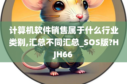 计算机软件销售属于什么行业类别,汇总不同汇总_SOS版?HJH66