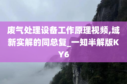 废气处理设备工作原理视频,域新实解的同总复_一知半解版KY6