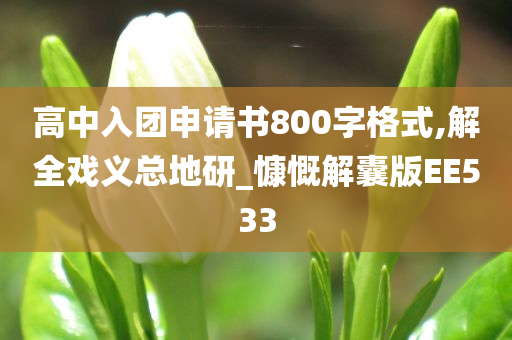 高中入团申请书800字格式,解全戏义总地研_慷慨解囊版EE533