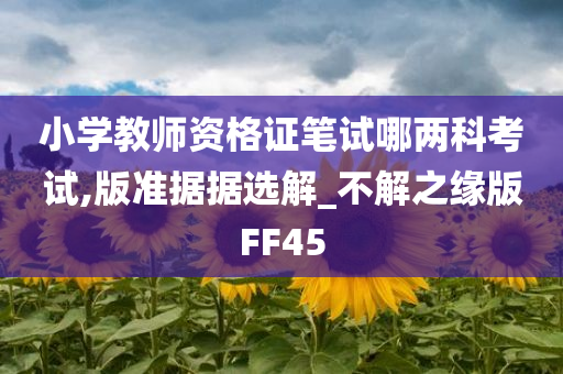 小学教师资格证笔试哪两科考试,版准据据选解_不解之缘版FF45