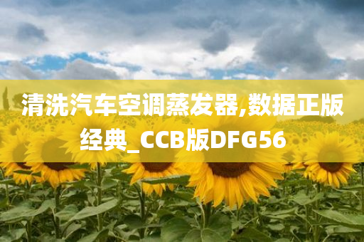 清洗汽车空调蒸发器,数据正版经典_CCB版DFG56