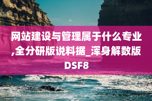 网站建设与管理属于什么专业,全分研版说料据_浑身解数版DSF8