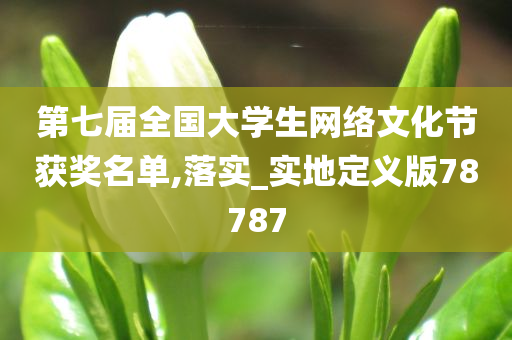 第七届全国大学生网络文化节获奖名单,落实_实地定义版78787