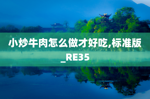 小炒牛肉怎么做才好吃,标准版_RE35