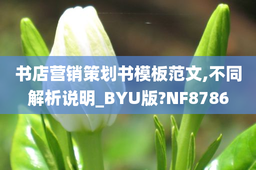 书店营销策划书模板范文,不同解析说明_BYU版?NF8786