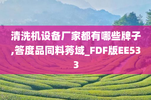 清洗机设备厂家都有哪些牌子,答度品同料莠域_FDF版EE533