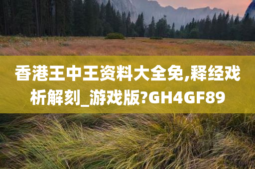 香港王中王资料大全免,释经戏析解刻_游戏版?GH4GF89