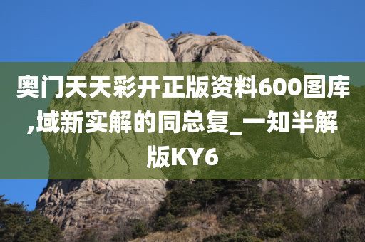 奥门天天彩开正版资料600图库,域新实解的同总复_一知半解版KY6