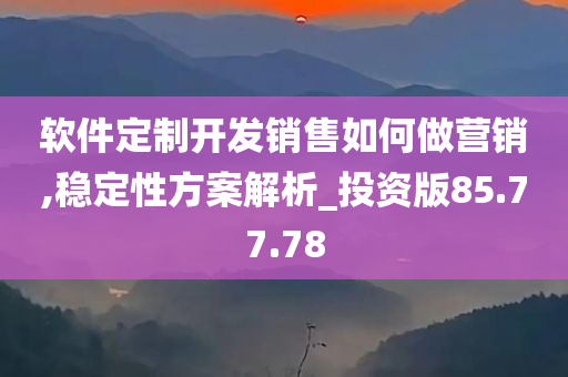 软件定制开发销售如何做营销,稳定性方案解析_投资版85.77.78