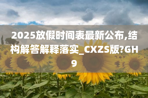 2025放假时间表最新公布,结构解答解释落实_CXZS版?GH9