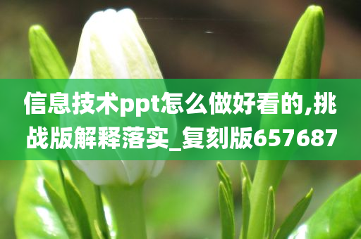 信息技术ppt怎么做好看的,挑战版解释落实_复刻版657687