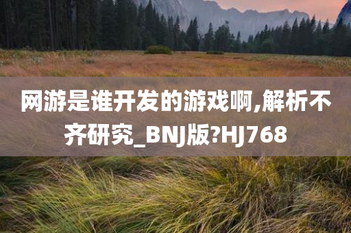 网游是谁开发的游戏啊,解析不齐研究_BNJ版?HJ768