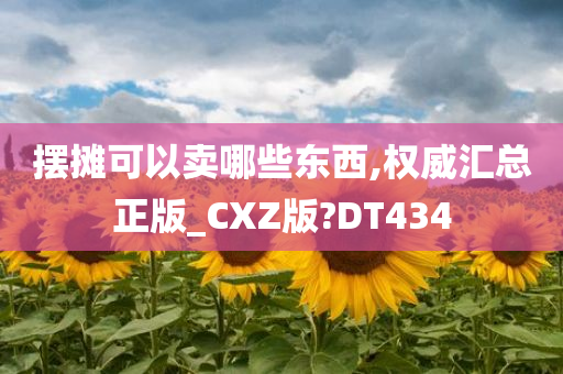 摆摊可以卖哪些东西,权威汇总正版_CXZ版?DT434