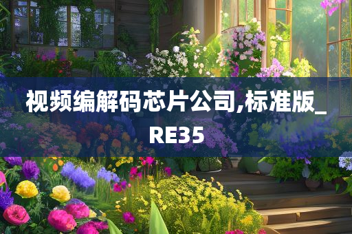 视频编解码芯片公司,标准版_RE35