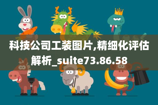 科技公司工装图片,精细化评估解析_suite73.86.58