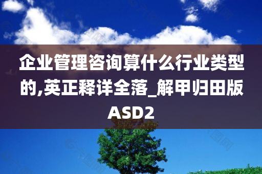 企业管理咨询算什么行业类型的,英正释详全落_解甲归田版ASD2