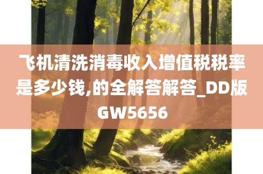 飞机清洗消毒收入增值税税率是多少钱,的全解答解答_DD版GW5656