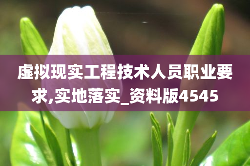 虚拟现实工程技术人员职业要求,实地落实_资料版4545