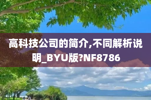 高科技公司的简介,不同解析说明_BYU版?NF8786