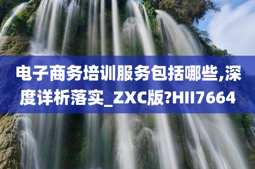 电子商务培训服务包括哪些,深度详析落实_ZXC版?HII7664